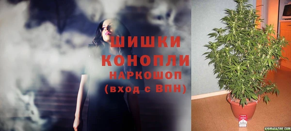 стафф Алексин