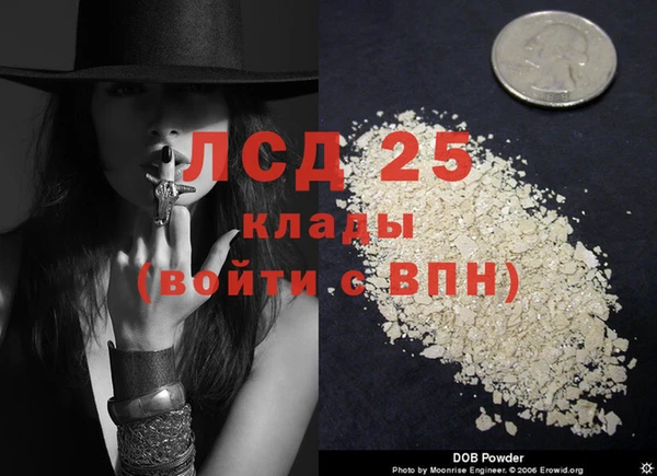 стафф Алексин