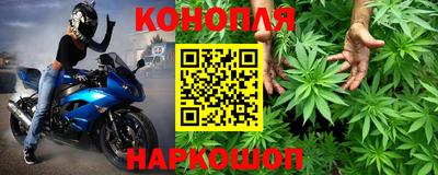 гашик Малгобек