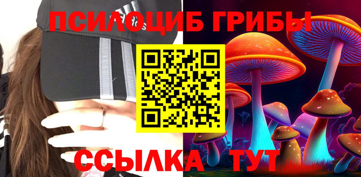 Десногорск  Псилоцибиновые грибы Magic Shrooms  Вход с VPN 